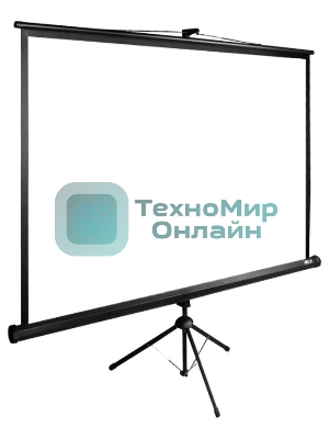 Экран Cactus 200x200 см TriExpert CS-PSTE-200х200-BK 1:1 напольный рулонный