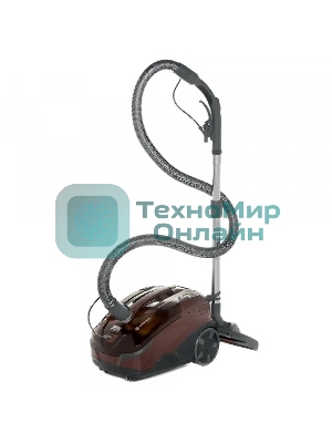 Моющий пылесос Thomas Parkett Master XT коричневый, 325/1700 Вт, уборка сухая/влажная/сбор жидкости, пылесборник контейнер 6 л