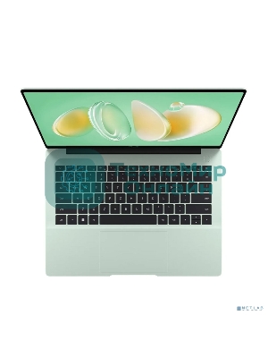 Ноутбук Huawei FLMH-X FlemingH-W5651T/14