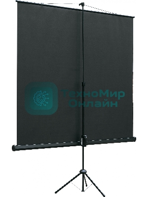 Экран на штативе Lumien Eco View 183x244см (раб.область175х236 см) Matte White с возможностью настенного крепления 4:3