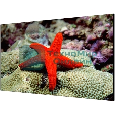 Экран LCD Hikvision DS-D2055LR-G 55