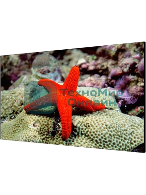 Экран LCD Hikvision DS-D2055LR-G 55