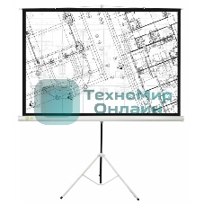 Экран Cactus 127x127см Triscreen CS-PST-127X127 1:1 напольный рулонный белый