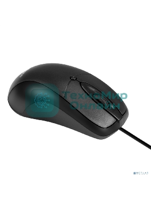 Мышь проводная ExeGate Professional Standard B100L черный, 1000 dpi, USB, кнопки - 3