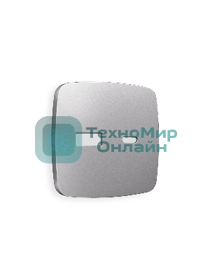 Лицевая панель OMEGA (Сталь матовый) для розетки 2USB тип A+C QUANT OP5110