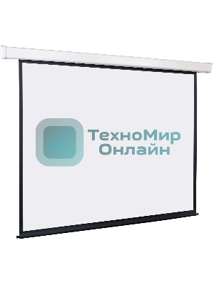 Экран моторизированный 	Lumien Master Сontrol LMC-1001114:3 (274х366), рабочая область (266х358), MW FiberGlass