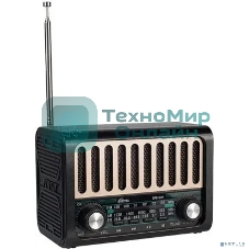 Радиоприемник Ritmix RPR-020