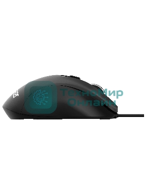 Мышь проводная Acer OMW120 черный, 2000 dpi, USB, кнопки - 6