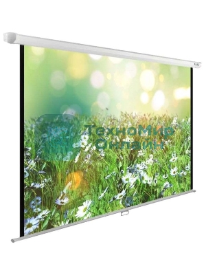 Экран Cactus 200x200 см WallExpert CS-PSWE-200x200-WT 1:1 настенно-потолочный рулонный