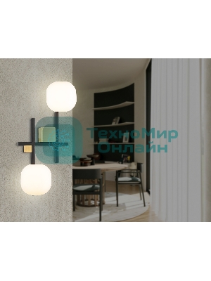 Настенный светильник Ambrella light LH51019/2 BK/BS/FR черный/латунь/белый матовый G9*2 max 28W 230*170*480