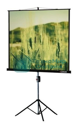 Экран на треноге Lumien 220x165 см Master View LMV-100113 4:3 напольный рулонный