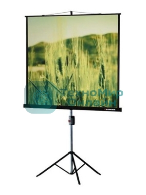Экран на треноге Lumien 220x165 см Master View LMV-100113 4:3 напольный рулонный