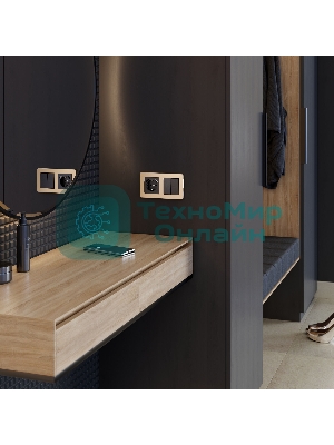 Рамка на 2 поста Platinum (шампань) W0022611