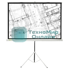 Экран Cactus 127x127см Triscreen CS-PST-127X127 1:1 напольный рулонный белый