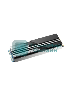 Накопитель SSD Netac NV5000, 500Gb, M.2 2280, PCIe 4.0 x4, NVMe, R/W 5000/2500, с радиатором
