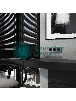 Рамка на 3 поста  AluMax (алюминий) W0033506