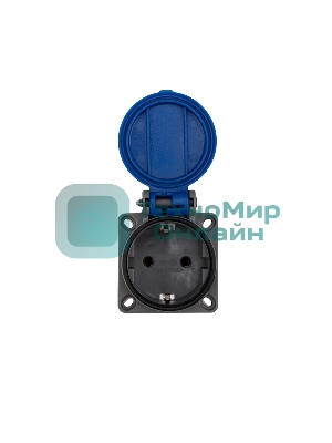 Розетка Rexant влагозащищенная с крышкой, с/з, скрытая установка,16 А, IP54 каучук