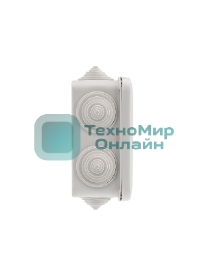 Коробка распаячная Rexant ОУ, 100x100x50, винт IP44