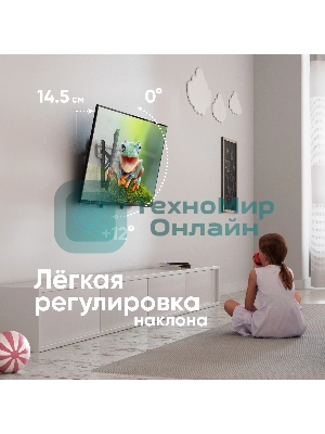 Кронштейн для телевизора ONKRON TM5-BW черный/белый 32