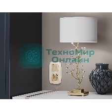 Лицевая панель OMEGA (Шампань) для электрической розетки с/з со шторками 2USB A+A QUANT OP6090