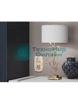 Лицевая панель OMEGA (Шампань) для электрической розетки с/з со шторками 2USB A+A QUANT OP6090