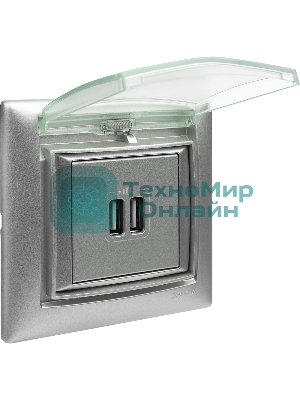 Розетка 2-ая USB 770270 Legrand Valena Алюминий
