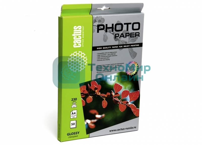 Фотобумага Cactus CS-GA423050 глянцевая А4 230 г/м2 50 листов