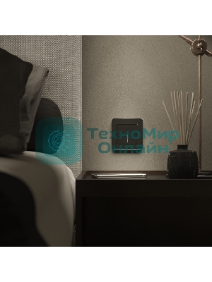 Рамка на 1 пост Platinum (черный алюминий) W0012608