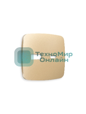 Лицевая панель OMEGA (Шампань) для розетки 2USB тип A+C QUANT OP6110
