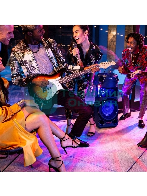 Минисистема Sony MHC-V43D черный/CD/CDRW/DVD/DVDRW/FM/USB/BT