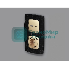 Лицевая панель OMEGA (Шампань) для розетки 2USB тип A+C QUANT OP6110