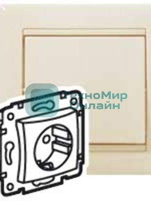 Механизм розетки 1-м СП Valena 2К+З с заземл. нем. станд. сл. кость (DIY-упак.) Legrand 695612