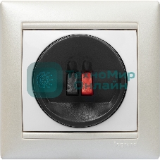 Розетка для колонок Valena 774223