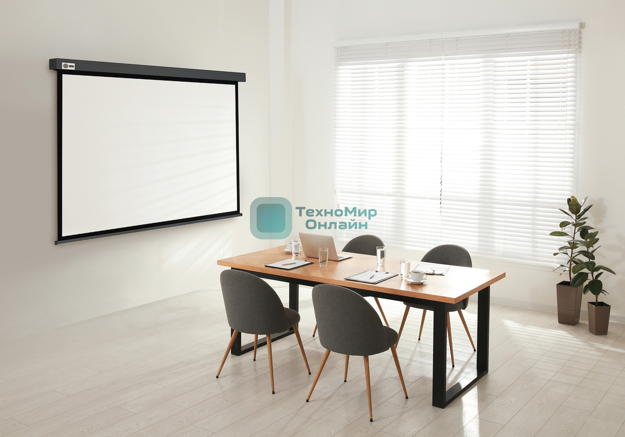 Экран Cactus 152x203см Wallscreen CS-PSW-152X203-SG 4:3 настенно-потолочный рулонный серый