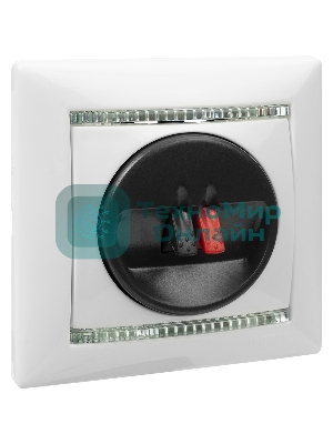 Розетка для колонок Valena 774223