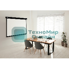 Экран Cactus 213x213см Wallscreen CS-PSW-213X213-BK 1:1 настенно-потолочный рулонный черный