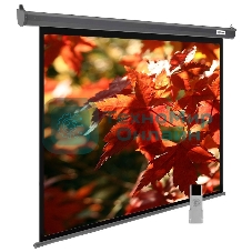 Экран Cactus 150x200 см SIlverMotoExpert CS-PSSME-200X150-DG 4:3 настенно-потолочный рулонный темно-серый (моторизованный привод)