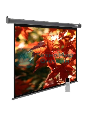 Экран Cactus 150x200 см SIlverMotoExpert CS-PSSME-200X150-DG 4:3 настенно-потолочный рулонный темно-серый (моторизованный привод)
