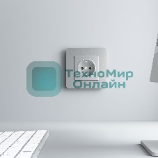 Рамка на 1 пост Platinum (алюминий) W0012606