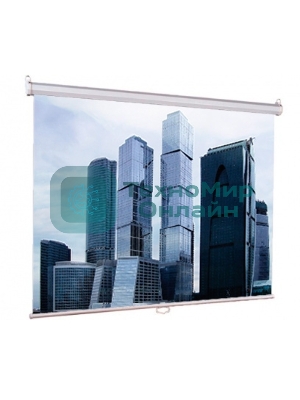 Экран Lumien 200x200 см Eco Picture LEP-100103 1:1 настенно-потолочный рулонный