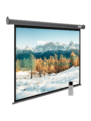 Экран для проектора Cactus SIlverMotoExpert CS-PSSME-300X188-DG, 139 