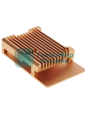Корпус Qumo Aluminum case without fan, Raspberry Pi 4, gold(RS005)