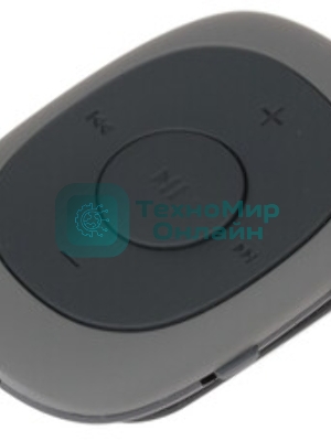 Плеер Flash Digma C2L 4Gb серый/FM/clip