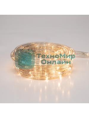 Дюралайт Neon-night LED, свечение с динамикой (3W), 24 LED/м, теплый белый, 6м