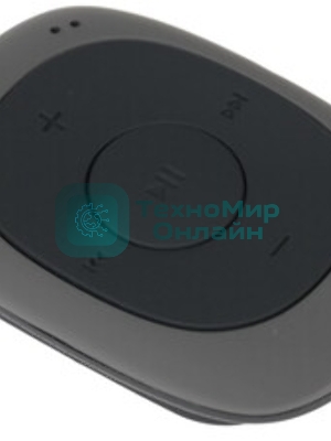 Плеер Flash Digma C2L 4Gb серый/FM/clip