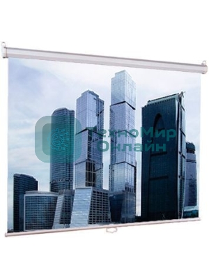 Настенный экран Lumien Eco Picture 206х274см (рабочая область 198х266 см) Matte White прямоуголный корпус, возможность потолочн./настенного крепления, уровень в комплекте, 4:3