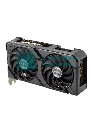 Видеокарта Asus AMD Radeon RX 7600 8Gb PCI-E DUAL-RX7600-O8G-EVO 128bit GDDR6 2280/18000 HDMIx1 DPx3 HDCP Ret