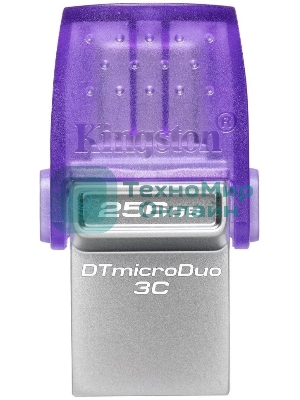 Флешка USB Kingston DataTraveler microDuo 3C (DTDUO3CG3/256GB), 256Gb, USB 3.2 Gen 1/Type-C, R/W 200/15, фиолетовый