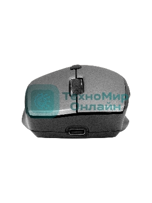 Мышь беспроводная ExeGate Professional Standard BT-070 черный, 1600 dpi, радиоканал, Bluetooth, USB, кнопки - 6