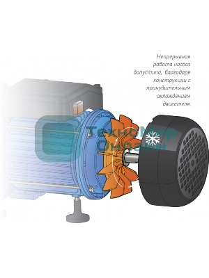 Насосная станция ДЖАМБО 60/35П-24600Вт глубина до 9м высота до 30м 3600л/ч 24л для чистой воды